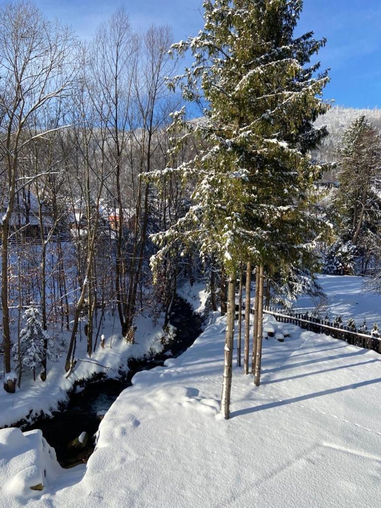Kaskada Apartments & Sauna Na Wylacznosc Szczyrk Exteriör bild